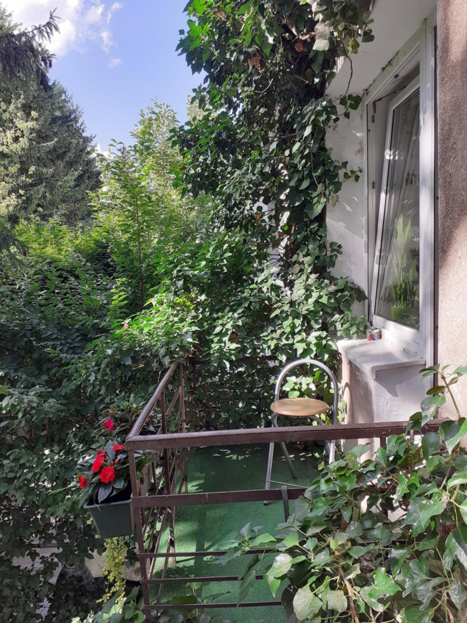 Animrumru Warschau Buitenkant foto