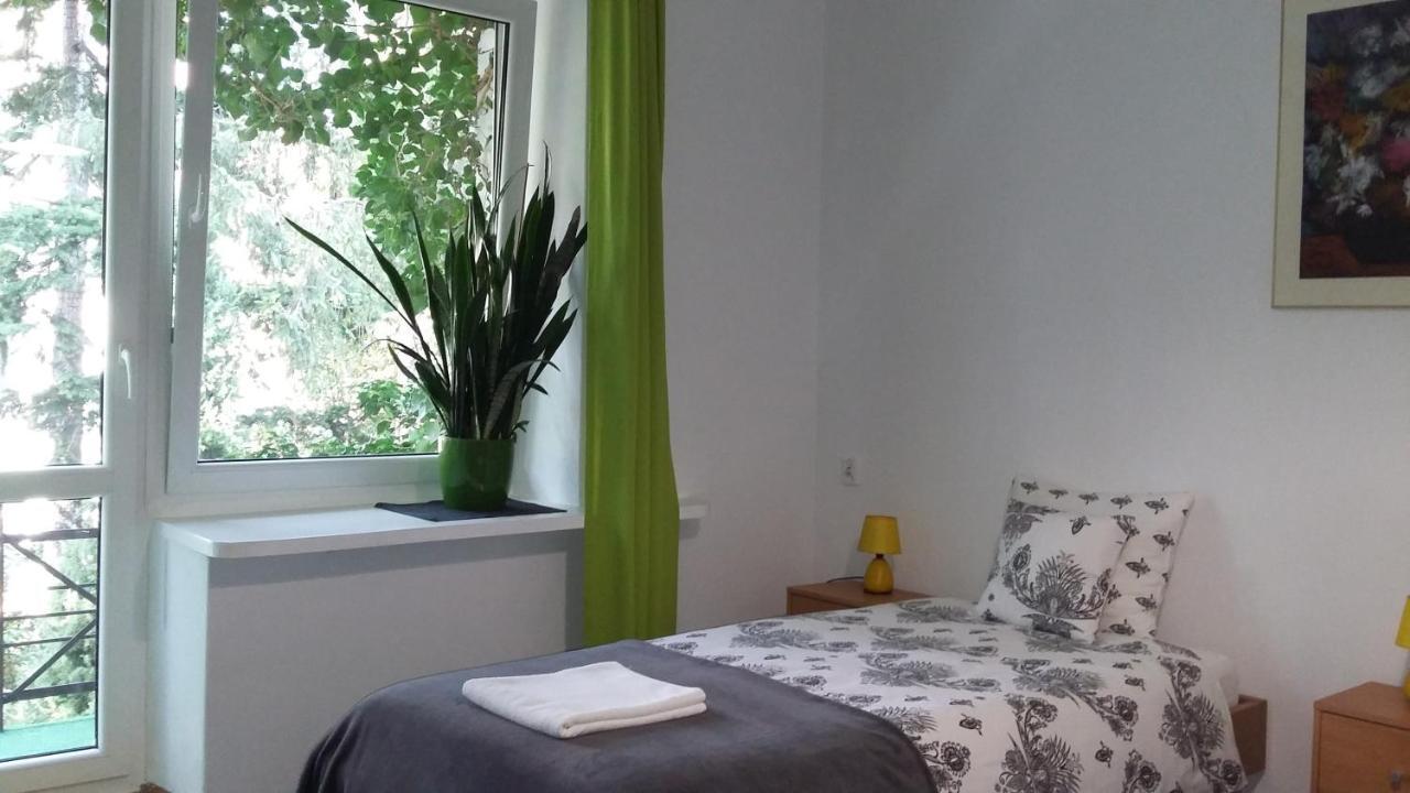 Animrumru Warschau Buitenkant foto